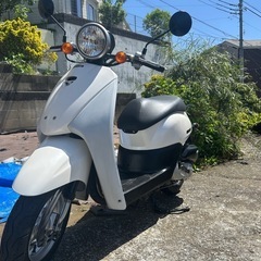 【原付50㏄バイク車体】ホンダ　トゥディ（TODAY）4stFI...