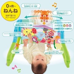 ピープル うちの赤ちゃん世界一 全身の知育メリー＆ジム 3wayの画像