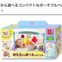 うちの赤ちゃん世界一 新生児から遊べるベビージムの画像