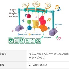 うちの赤ちゃん世界一 新生児から遊べるベビージムの画像