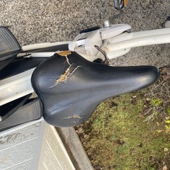 ブリヂストン電動アシスト自転車HYDEE.B
の画像