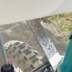 子供　自転車の画像