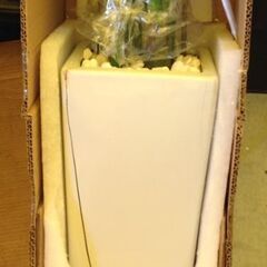 H982人工観葉植物【オーガスタ／グリーン色】フェイクグリーン 造花 光触媒 インテリア 訳あり B品 アウトレット品 ※定価10,990円の画像