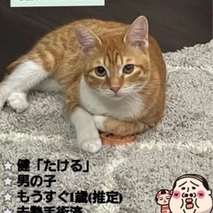 穏やかな性格のタケルくん