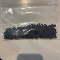 交換も歓迎！！ひまわりの種