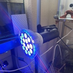 水槽用ライト
