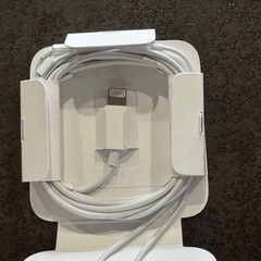 【純正】iPhone11Pro付属品3点セット（充電器・ケーブル・イヤホン）の画像