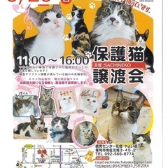 5/25 さち猫福岡　読売センター花畑・やよい坂