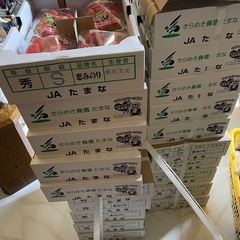 いちご　1ケース4パック売り
の画像