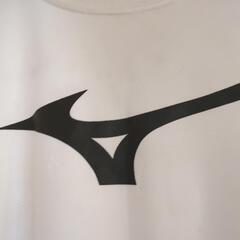 学校TEAMTシャツの画像