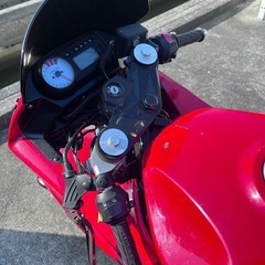 GT250R エンジンはかかるの画像