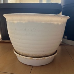 鉢植えポット5点セット　