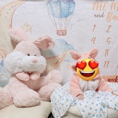 ビッグうさぎ 決まりました！の画像