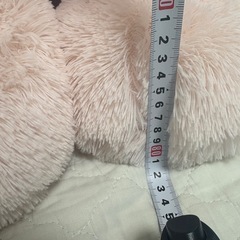 ビッグうさぎ 決まりました！の画像