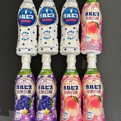 カルピス　8点セット　の画像