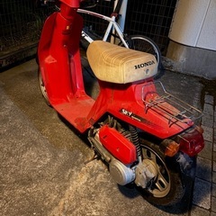 HONDA スカイの画像