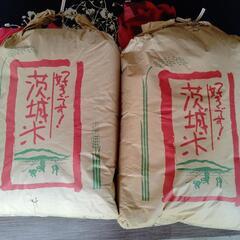 決定