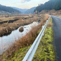 京都府南丹市四ツ谷の山林　田原川近く譲ります。　973㎡　