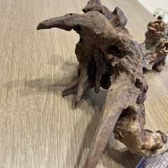 アクアリウム 流木の画像