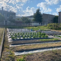 富山県移住お考えの方必見です - 高岡市