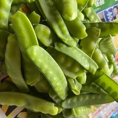 新玉ねぎ、えんどう、レタスセット1000円の画像