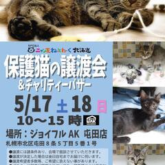 【札幌】保護猫の譲渡会inジョイフルAK屯田店〈5/17-…