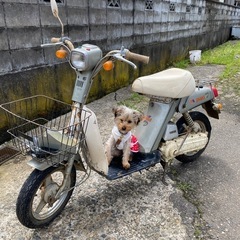 ヤマハ　パッソル D 　実働車　希少のシルバー