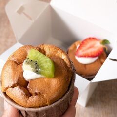 5/9 レモンヨーグルトとろける生シフォン