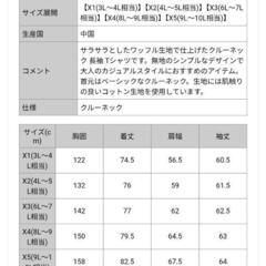 （最終処分価格処分品）春秋　X1 3Lから4L スマートTシャツ  オシャレ 大きいサイズ メンズ B＆T CLUB (ビーアンドティークラブ) 綿100％ ワッフル クルーネック 長袖 Tシャツ Tシャツ 長袖 ロンT シンプル コットン 丸首 無地 BTTS2114の画像
