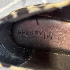 SPERRY 23センチくらいだと思います。の画像