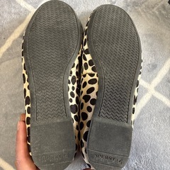SPERRY 23センチくらいだと思います。の画像