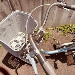 大人用三輪自転車　ブリヂストンワゴン
の画像