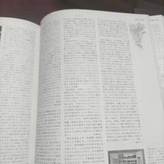 国民百科事典 平凡者の画像