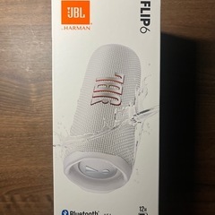 JBL flip6