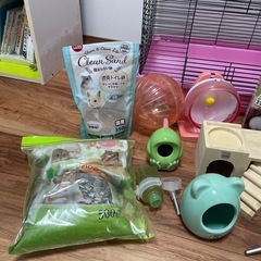 ペット　ハムスター　飼育用品　まとめの画像