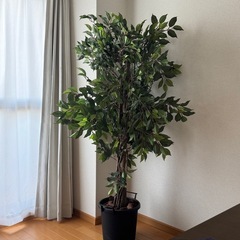 165cmフェイクグリーン