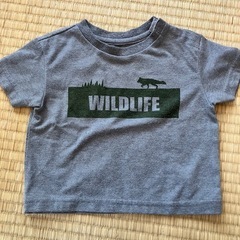 ノースフェイス　ベビーtシャツ　サイズ80
