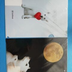 【無料】SoftBankお父さん犬　月のクリアファイル　2枚セット