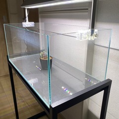ADA キューブガーデン　600×300×250の画像