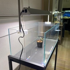 ADA キューブガーデン　600×300×250の画像