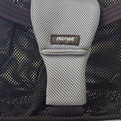 Richell(リッチェル）バウンシングシート おもちゃ付　美品中古の画像