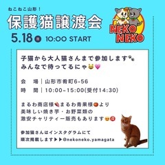 5/18 山形市 保護猫譲渡会