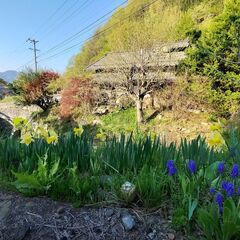 130年の古民家から、未来へ。 私たちと一緒に、里山の再生…