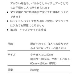 キャリフリーチェアベルトの画像