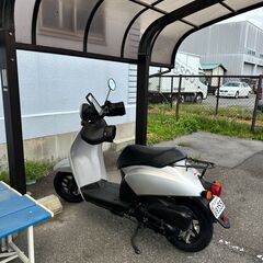Honda Gentsuki 50 cc