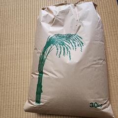 手渡し　令和6年産　長野県産コシヒカリ　玄米　30キロ 
