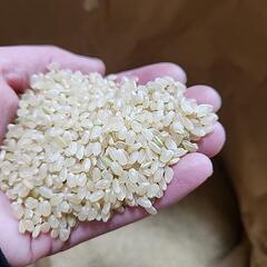 お取引中★受付終了★手渡し　令和6年産　長野県産コシヒカリ　玄米　30キロ の画像