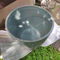 睡蓮鉢 メダカ鉢の画像