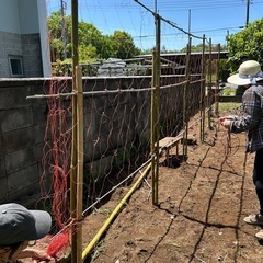 一緒に農作業しませんか？ - メンバー募集
