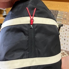 断舎離のため格安処分！アディダスカートバッグの画像
